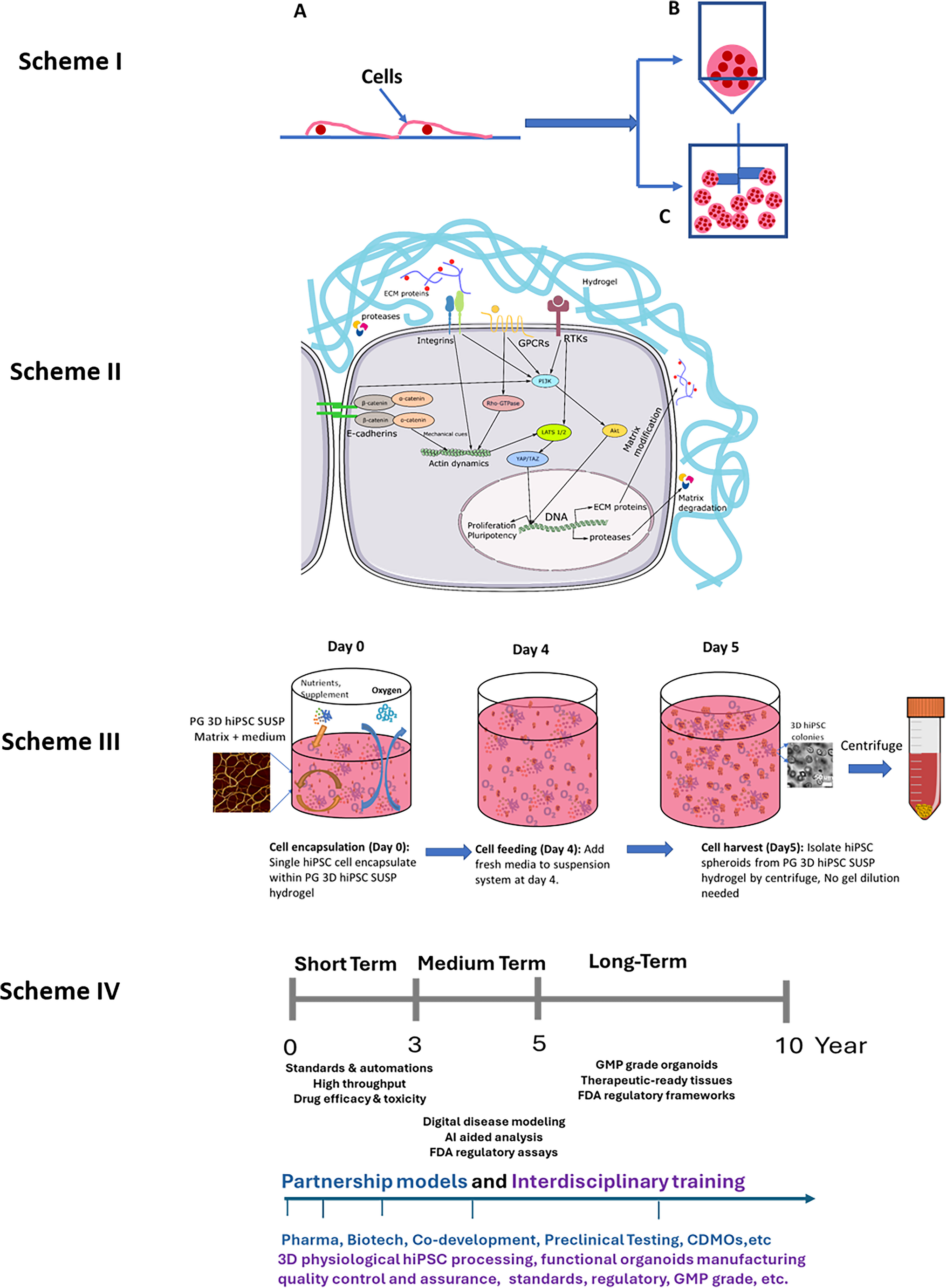 Physiological Relevant 3D Biomanufacturing of Pluripotent Stem Cells for Regenerative Medicine