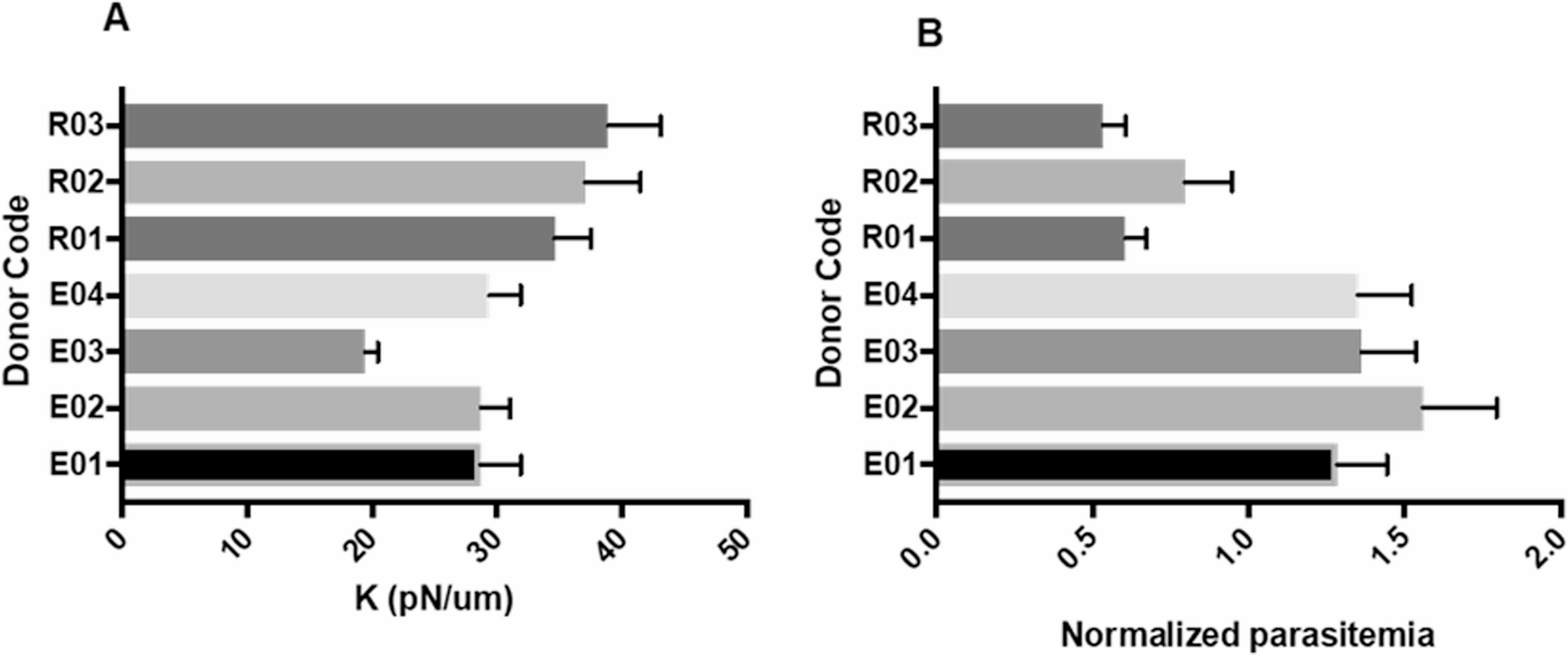 Cell Rigidity Dynamics in Malaria: New Avenues for Antimalarial Therapies