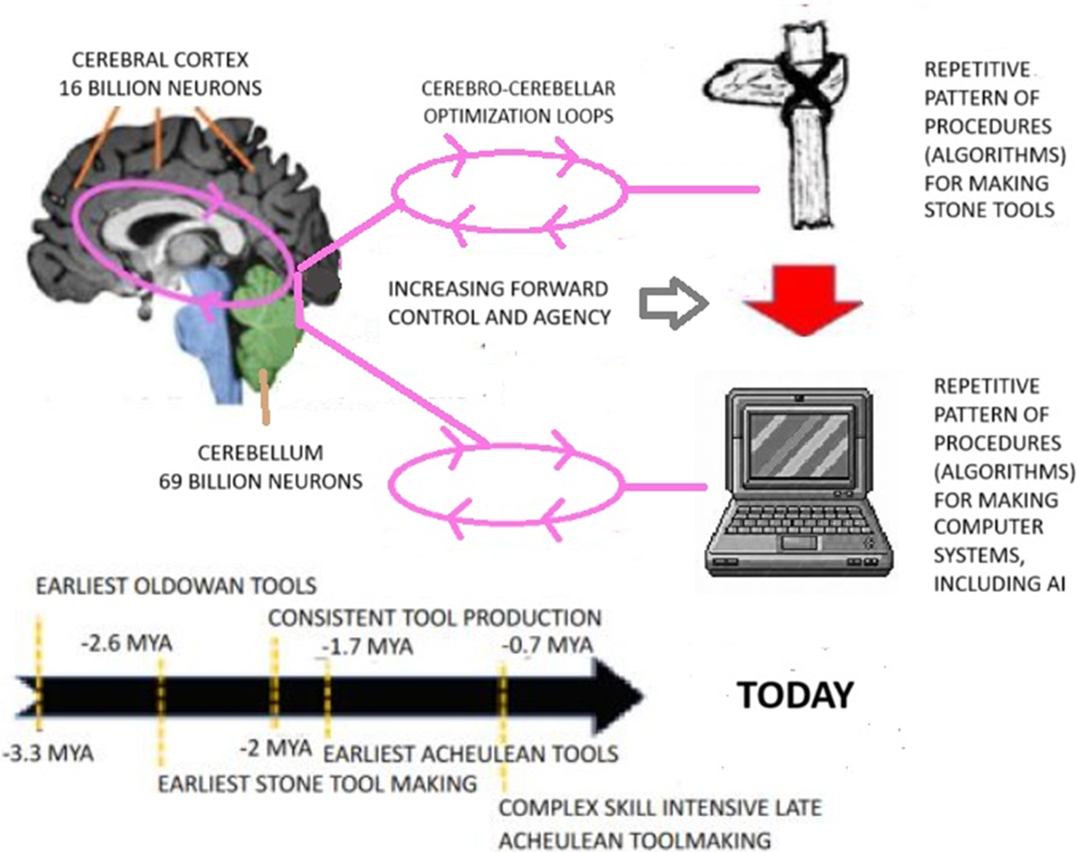 How the Human Brain’s Cerebro-cerebellar Loops of Social-cognitive Forword Control Were Copied to Create “Agency” in Artificial Intelligence (A.I.) Computing Systems, Including a Note to Mark Zuckerberg