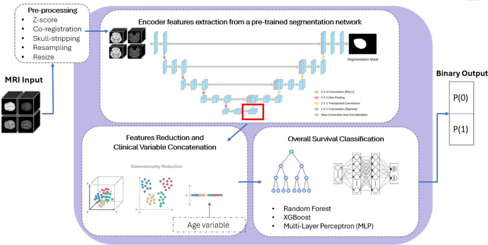 Glioblastoma survival prediction through MRI and clinical data integration with transfer learning