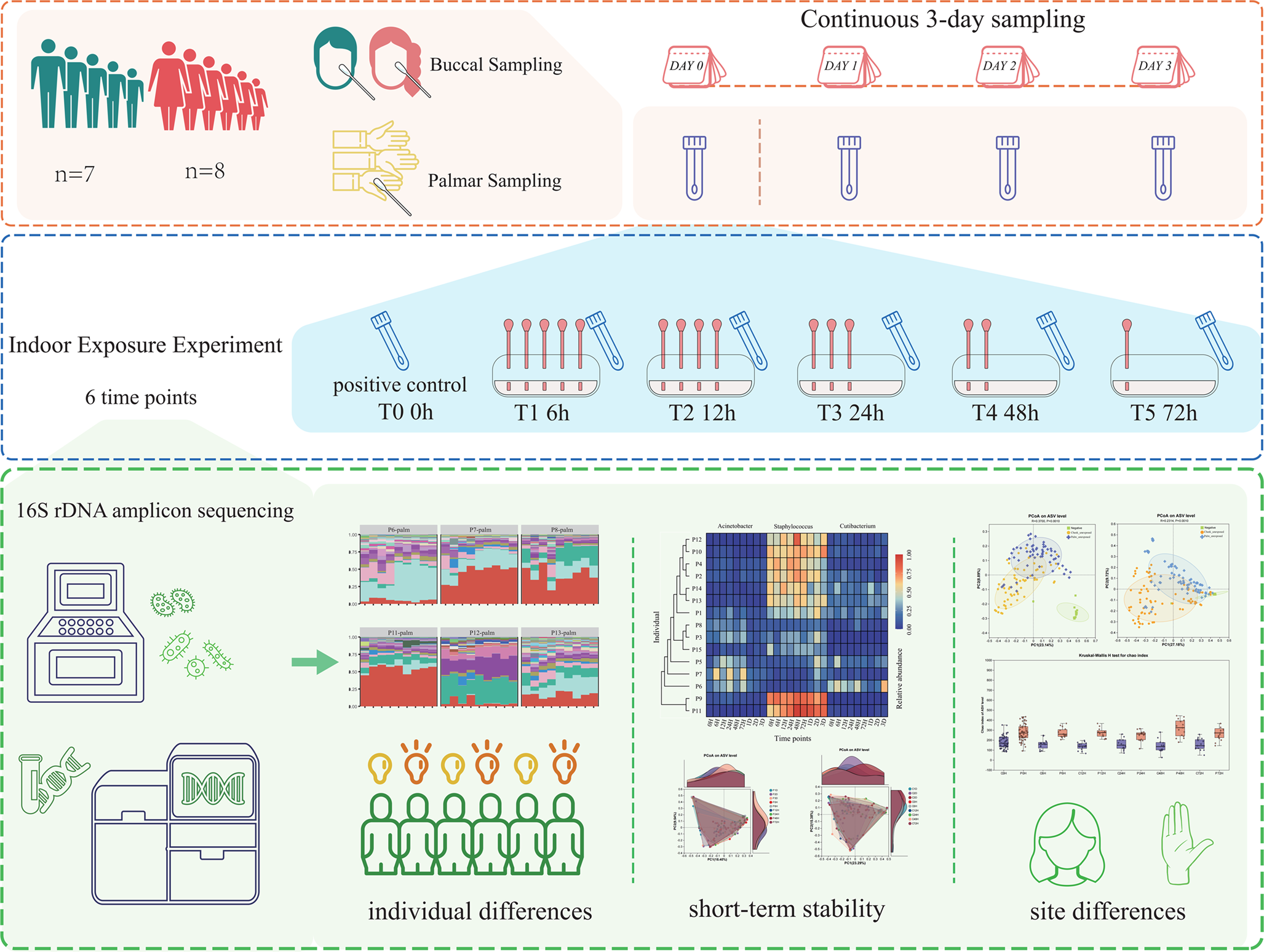 Stability of the skin microbiome during short-term in situ and in vitro conditions: Foundational support for the potential to trace skin sites and identify individuals