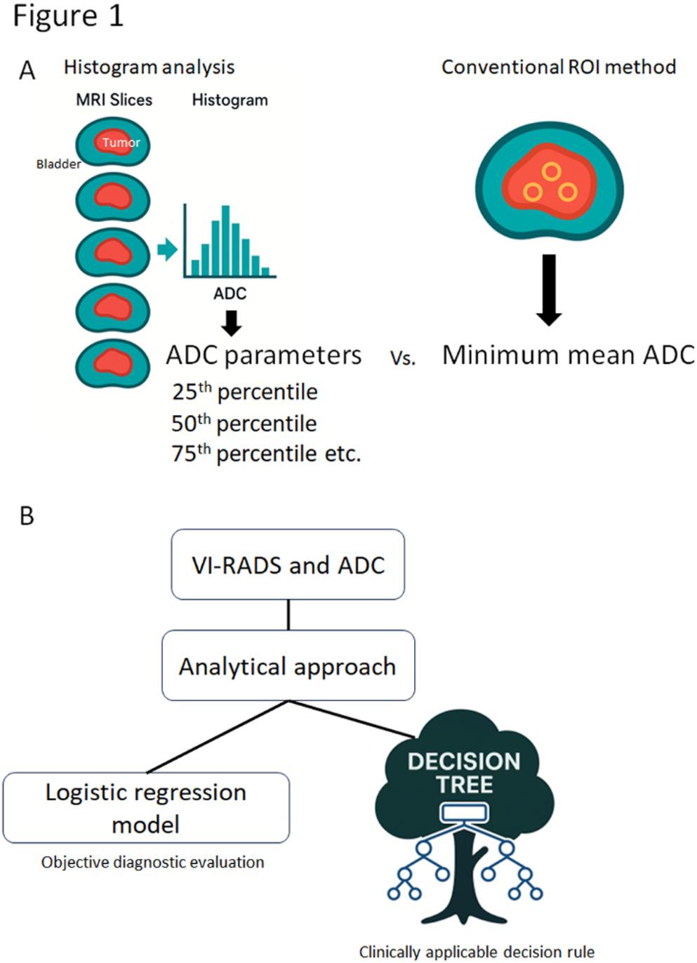 Decision tree models combining Bi-parametric vesical imaging reporting and data system and apparent diffusion coefficient metrics for predicting muscle-invasive bladder cancer