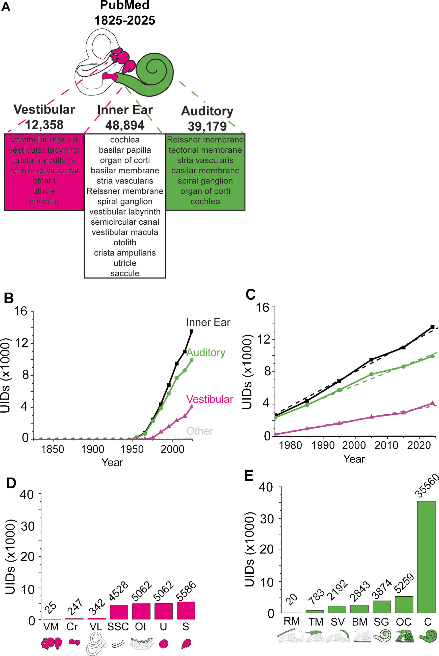Investigation of Vestibular Dysfunction Requires Renewed Research Enthusiasm
