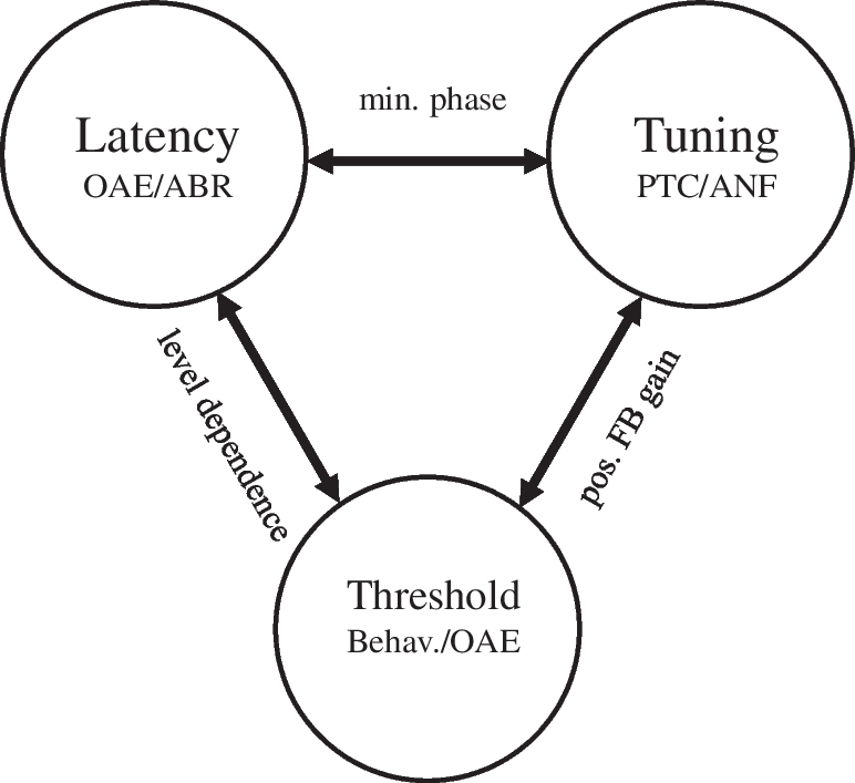 Latencies of Pulsed Distortion-Product Otoacoustic Emissions and Their Relation to Auditory Brainstem Responses