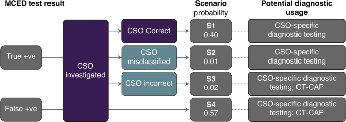 Modelled impact of a multi-cancer early detection screening programme on the demand for diagnostics in England