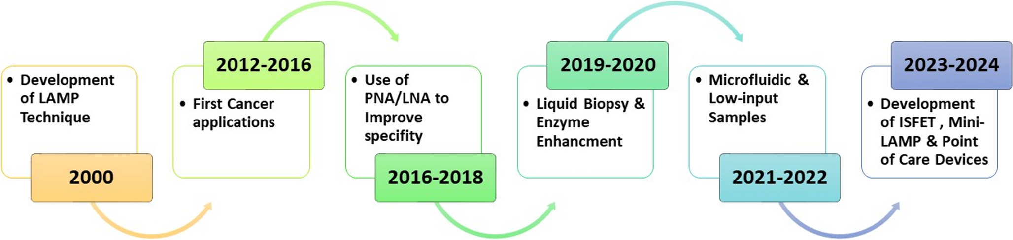 Advancements in somatic mutation detection through loop-mediated isothermal amplification (LAMP) in human tumors