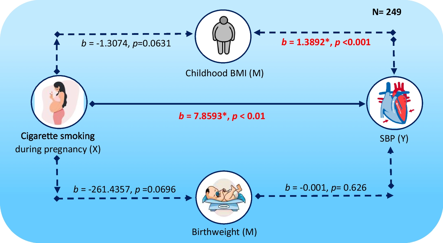 Mediators in the effect of maternal alcohol consumption and cigarette smoking on cardiometabolic risk factors in 10–14-year-old adolescents