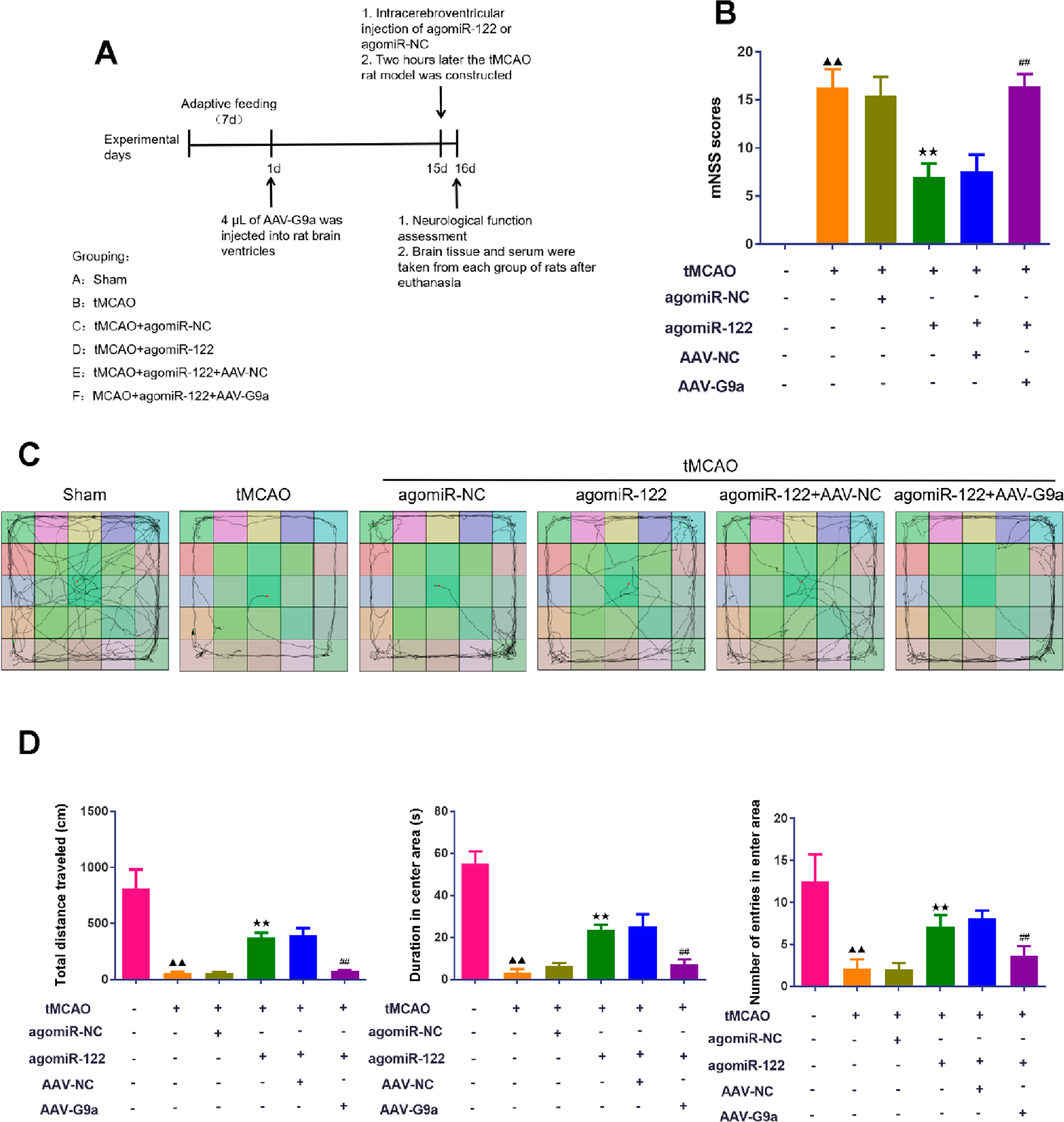 G9a Targeting by miR-122 Ameliorates Ischemic Brain Injury via Enhanced Microglial Autophagy and Suppressed Ferroptosis