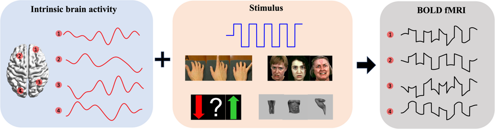 Distinguishing task-evoked dynamic brain networks from intrinsic activity with tensor component analysis