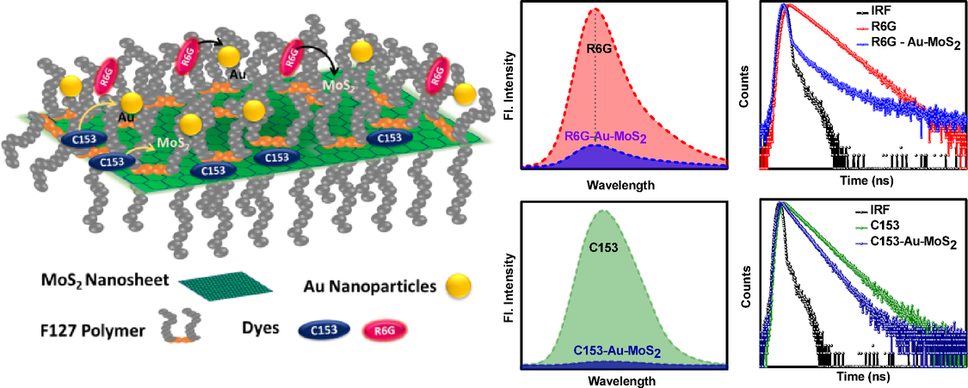 Enhanced light harvesting through efficient energy transfer in a pluronic co-polymer scaffolded blend of donor dyes and plasmonic Au-MoS hybrid nanostructures