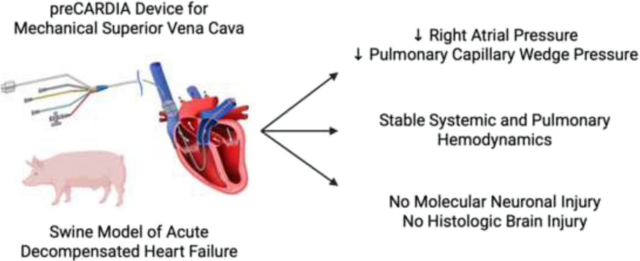 Sustained Mechanical Occlusion of the Superior Vena Cava Safely Reduces Cardiac Filling Pressures in a Preclinical Model of Heart Failure