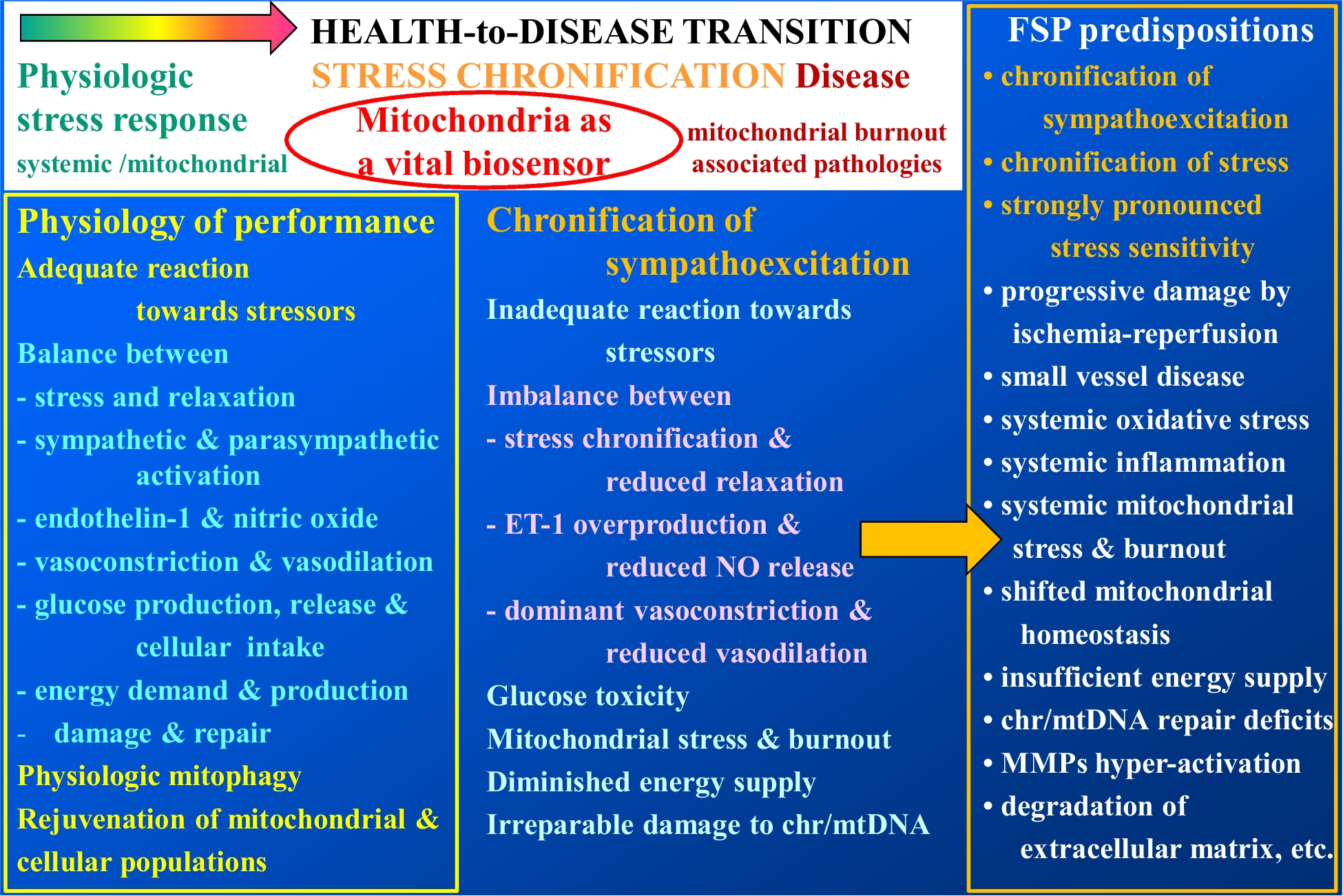 How to use an extensive Flammer syndrome phenotyping for a holistic protection against health-to-disease transition — facts and practical recommendations
