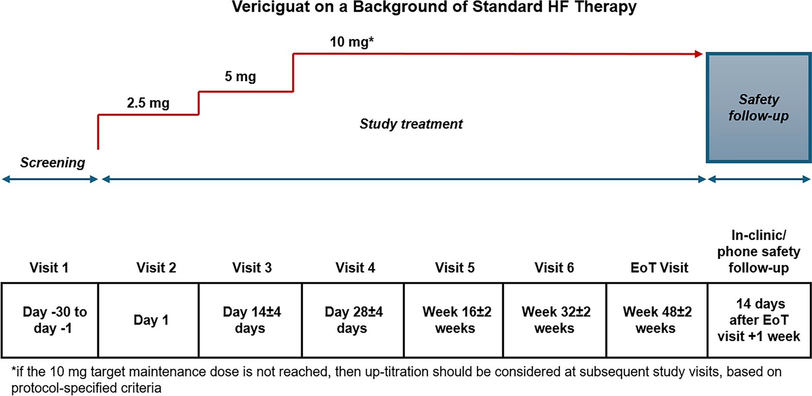 Study Design and Baseline Characteristics of the VERINA Study: Phase IV Evidence of Vericiguat for Worsening Heart Failure Management