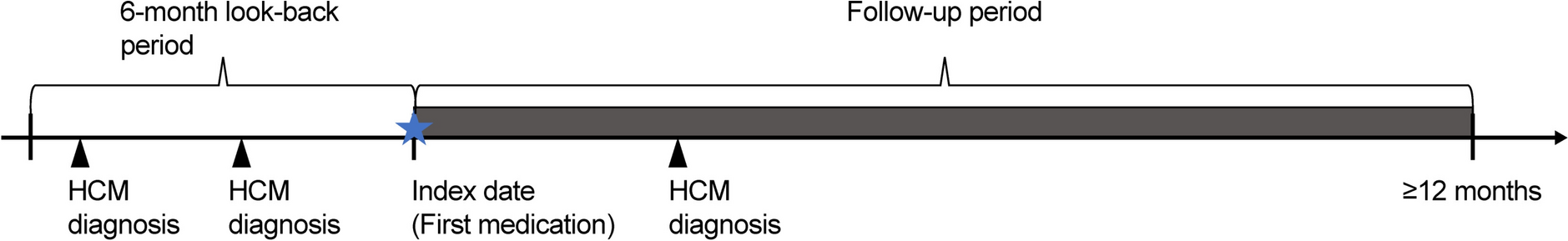 Treatment Patterns and Healthcare Resource Utilization Among Patients with Obstructive Hypertrophic Cardiomyopathy in Japan: A Claims Database Study