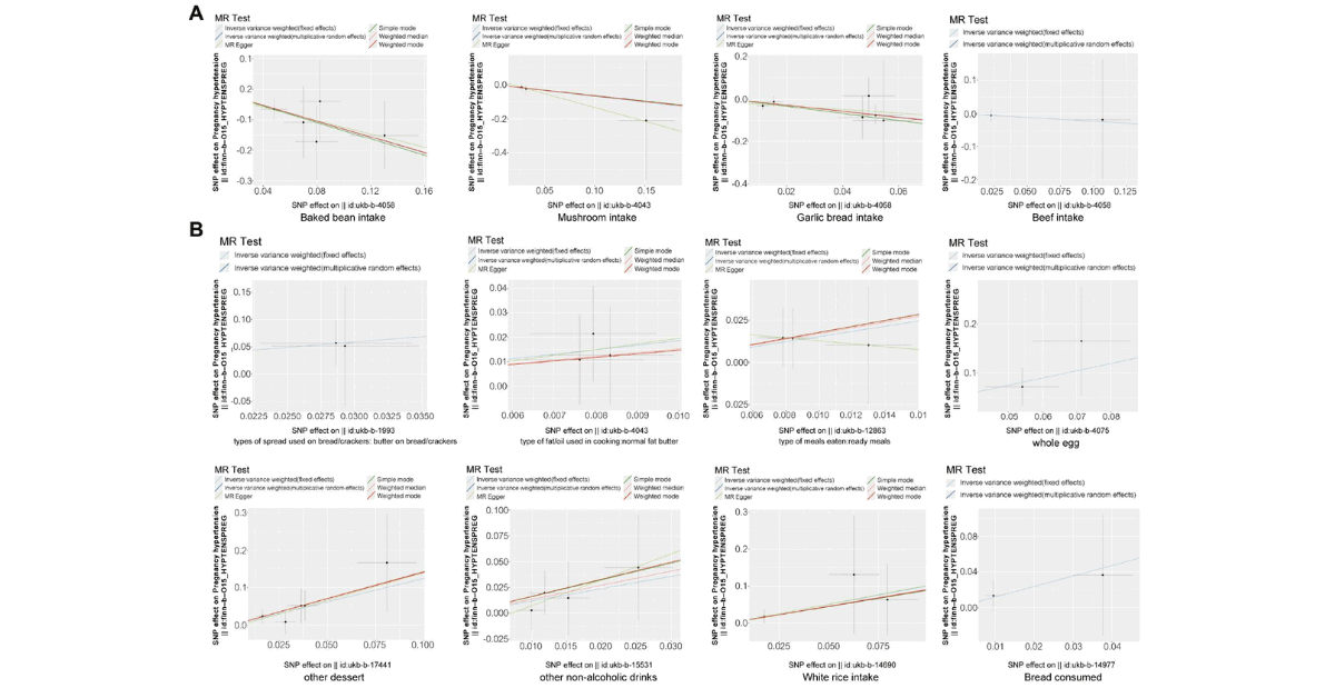 Burden of Hypertensive Disorders of Pregnancy: A Trend Study from 1990 to 2021 with Risk Factor and Dietary Analysis