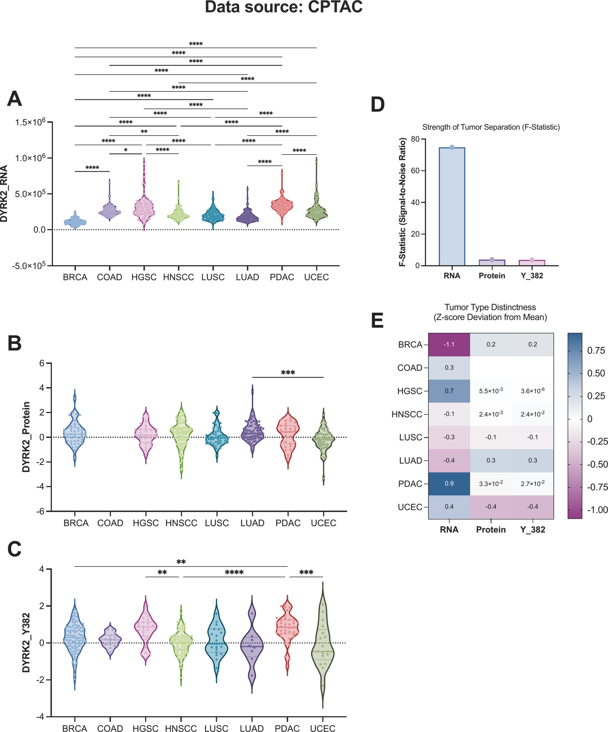 The dual fate of DYRK2 in cancer: balancing the light and dark side of tumorigenesis