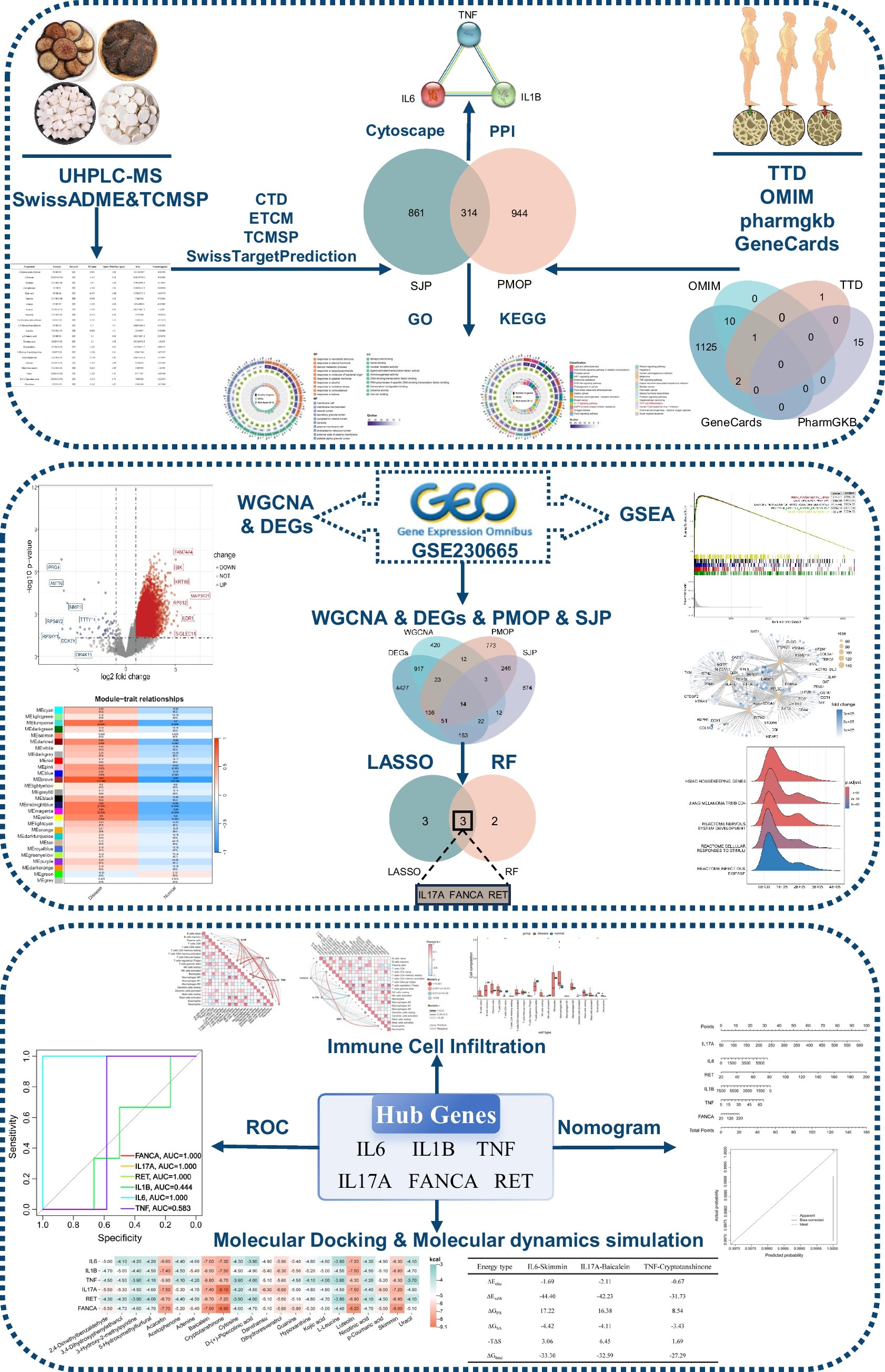 Revealing the Immunomodulatory Targets and Mechanisms of Sijing Pill for Postmenopausal Osteoporosis: A UHPLC-MS-Based Bioinformatics and Machine Learning Study