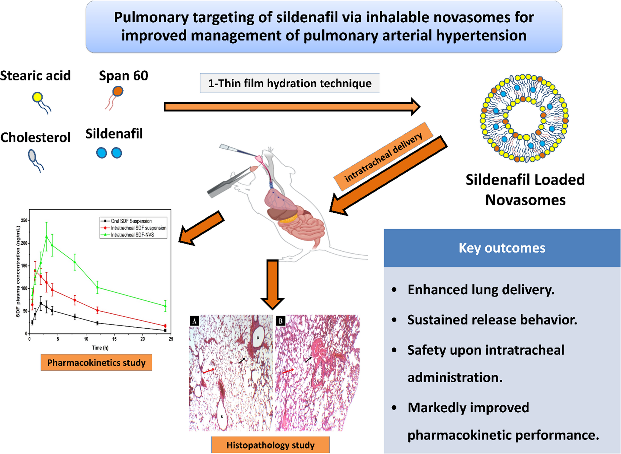 Inhalable Sildenafil-Loaded Novasomes for Targeted Pulmonary Delivery in Pulmonary Arterial Hypertension: Formulation Optimization, Safety Evaluation, and Pharmacokinetic Assessment