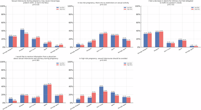 Maternal sexuality in high- and low-risk pregnancies: a cross-sectional comparison