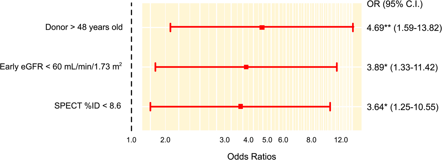 Prognostic significance of early cortical functional integrity measured by Tc-DMSA SPECT in kidney transplant recipients
