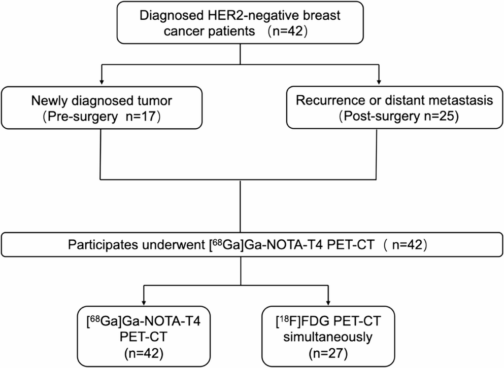 [Ga]Ga-NOTA-T4 PET/CT imaging of TROP2 expression in patients with HER2-negative breast cancer