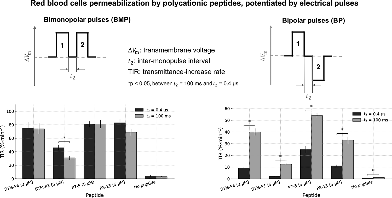 Peptide-Assisted Membrane Permeabilization: Effects of Waveform Polarity, Inter-Monopulse Interval, and Surface Charge in Red Blood Cells and Planar Lipid Bilayers