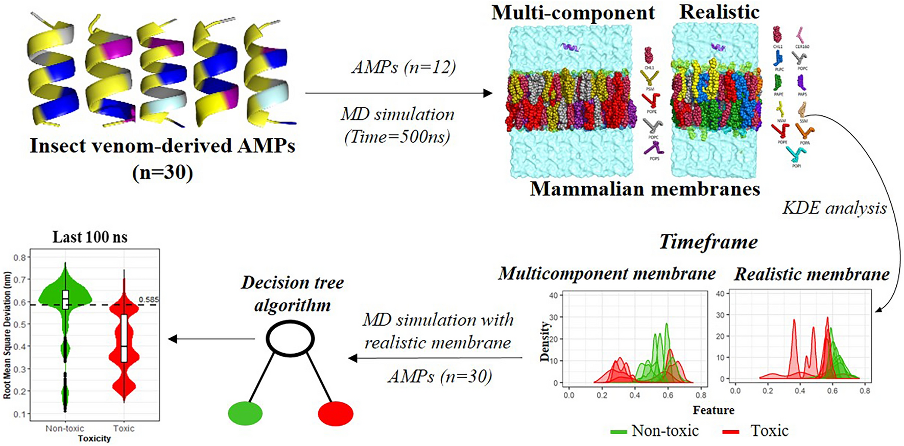 Predicting Toxicity of Insect Venom-Derived Antimicrobial Peptides Using MD Simulations: A Comparative Study of Multi-Component and Realistic Mammalian Membrane Models
