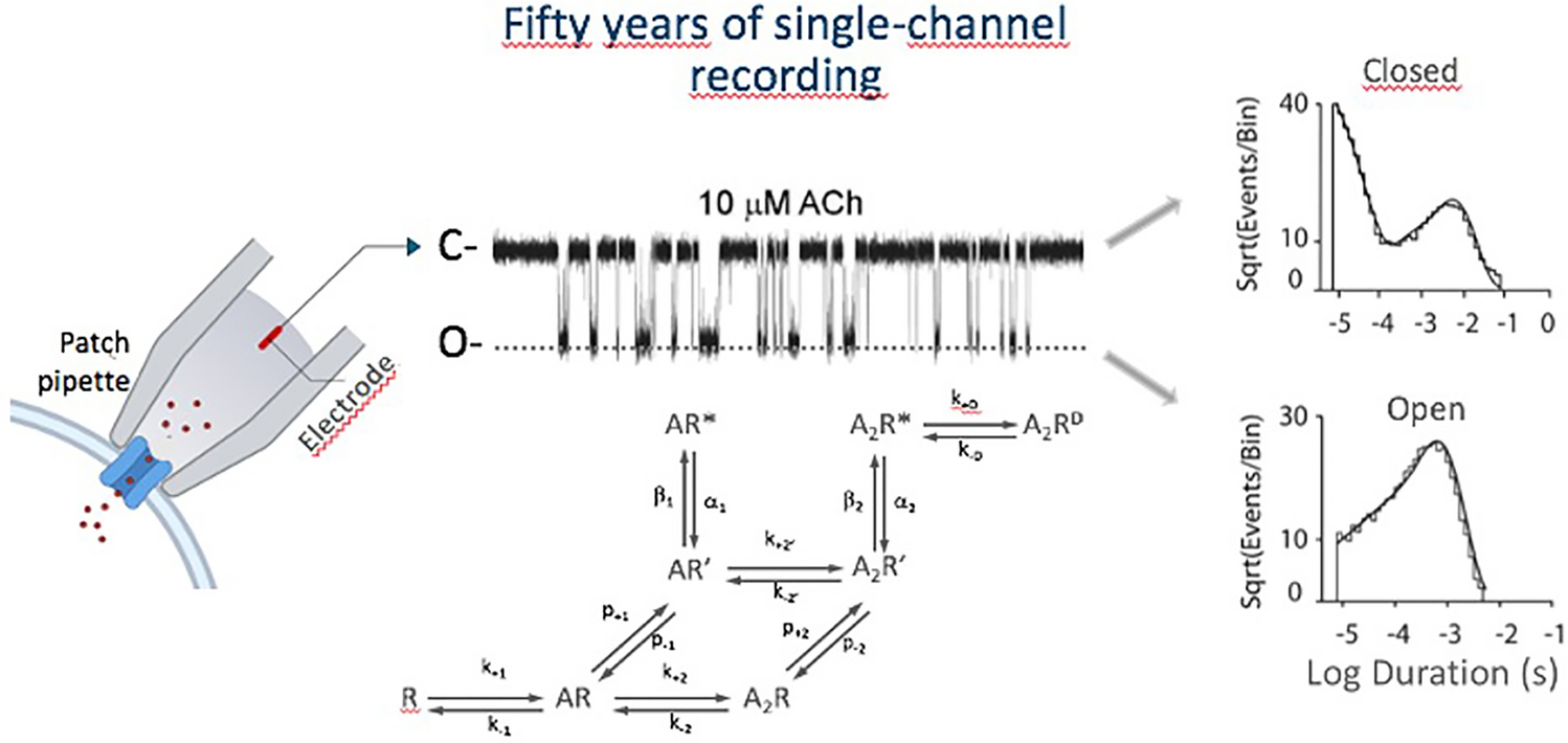 Celebrating 50 Years of Single-Channel Recording with the Patch Clamp
