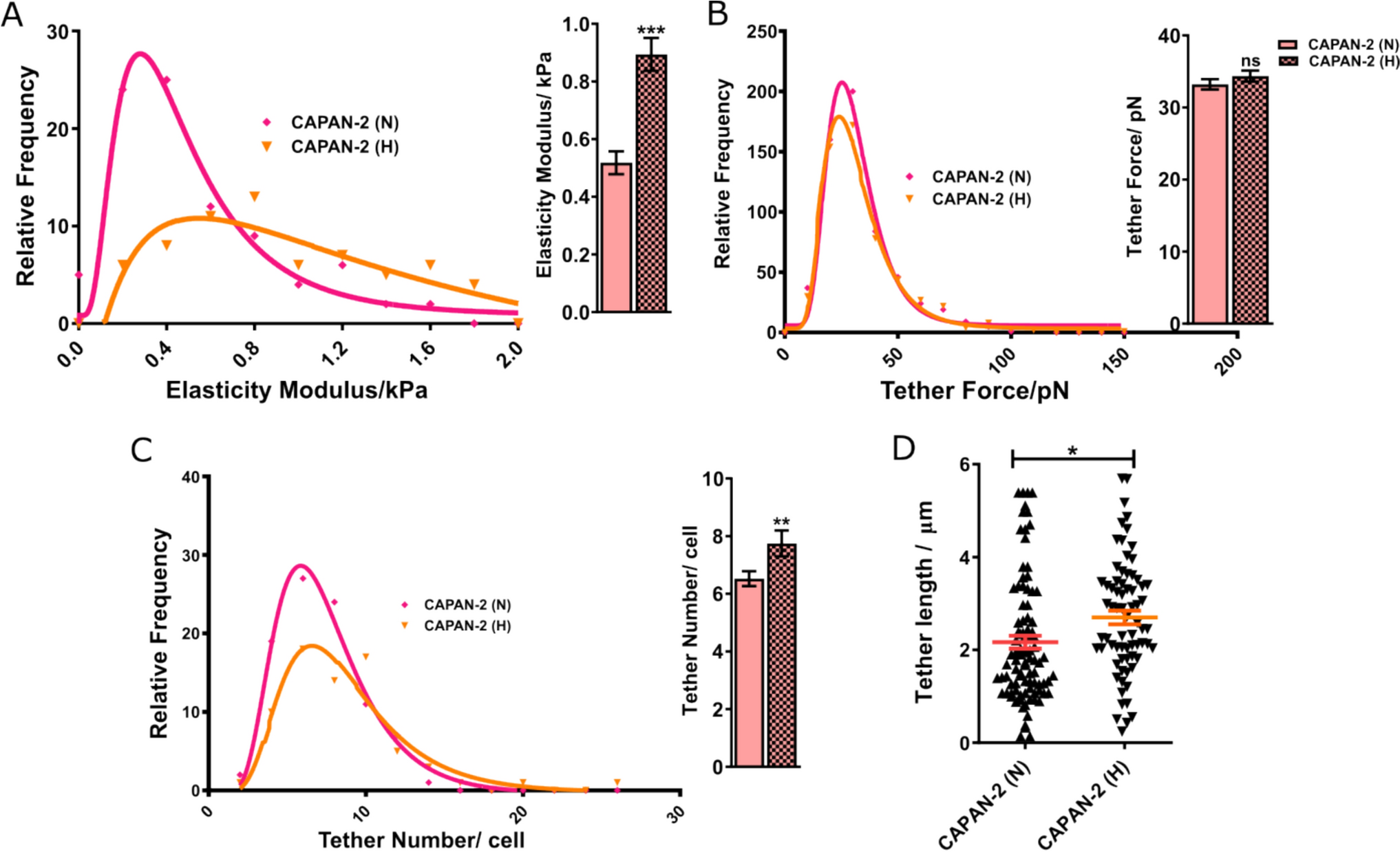Hypoxia Modulates Membrane Mechanics in Pancreatic Cancer