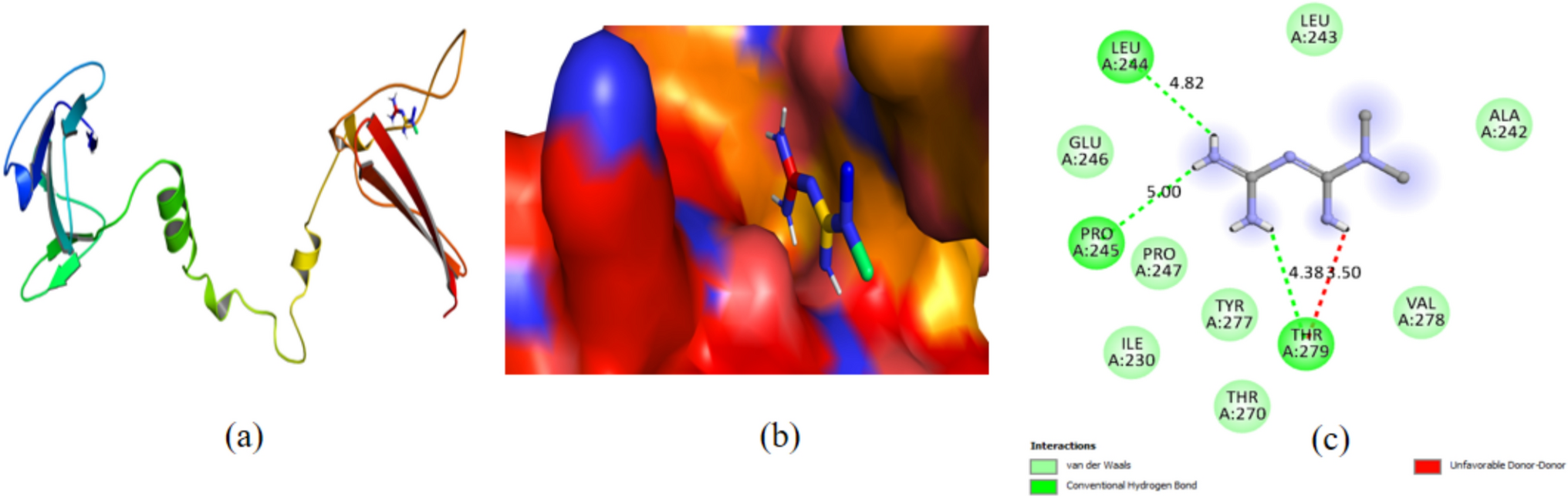 Piperine-induced AMPK activation and cell cycle arrest: insights from molecular simulations and experimental validation in breast cancer