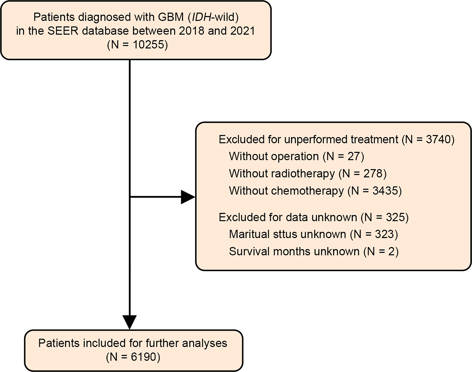 Socioeconomic disparities in -wildtype glioblastoma survival: interactions between age and household income in a SEER cohort