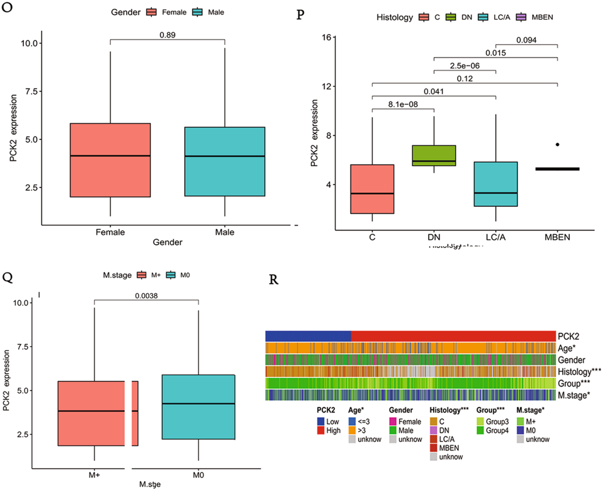 Correction to: Phosphoenolpyruvate carboxykinase 2 as a prognostic biomarker: expression and clinical significance in Group 3 and Group 4 medulloblastoma