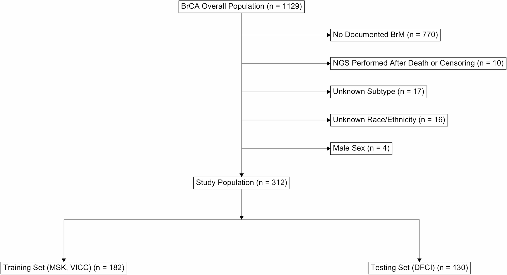 Individualized prediction of survival after brain metastasis development in patients with breast cancer