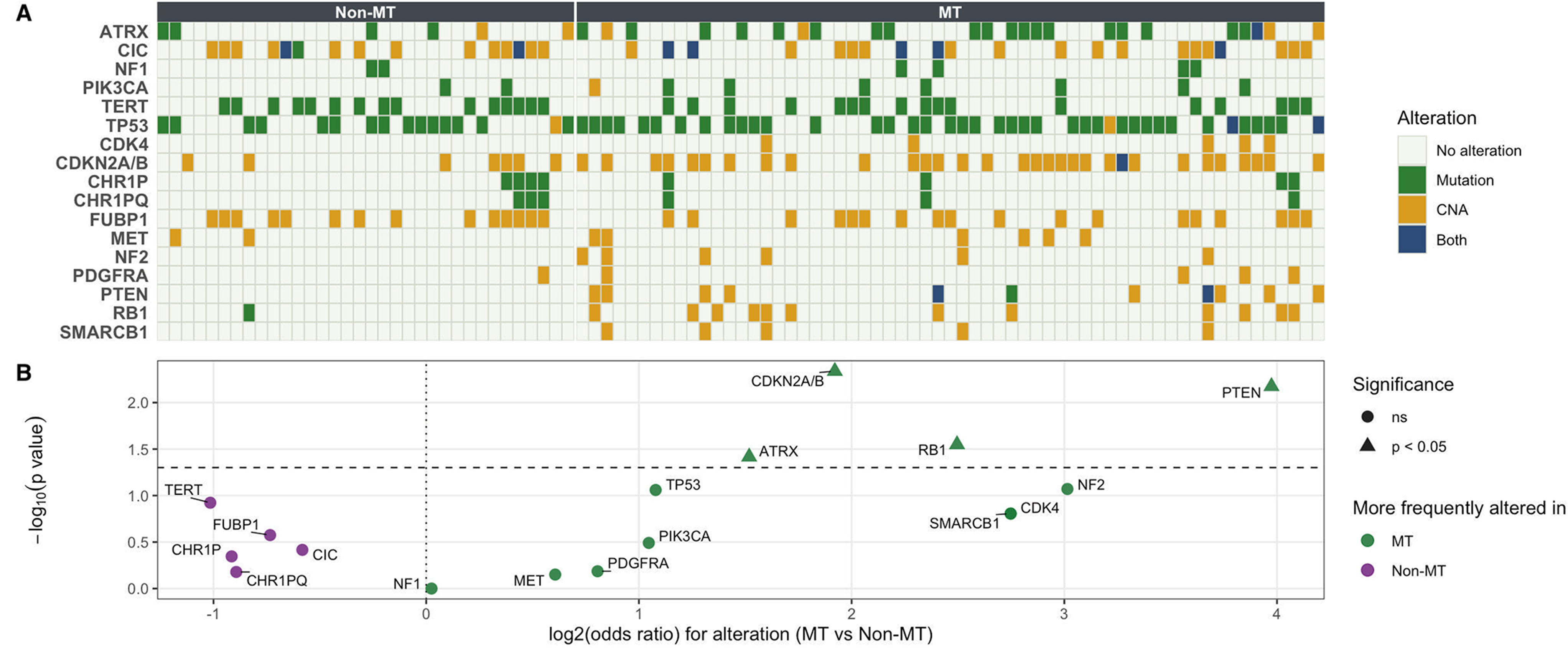 Malignant transformation in IDH-mutant gliomas: clinical drivers and survival outcomes in a histologically defined cohort