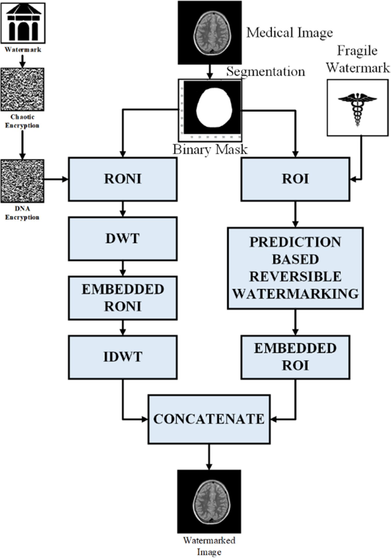 Automatic segmentation based watermarking technique for medical images in e-healthcare