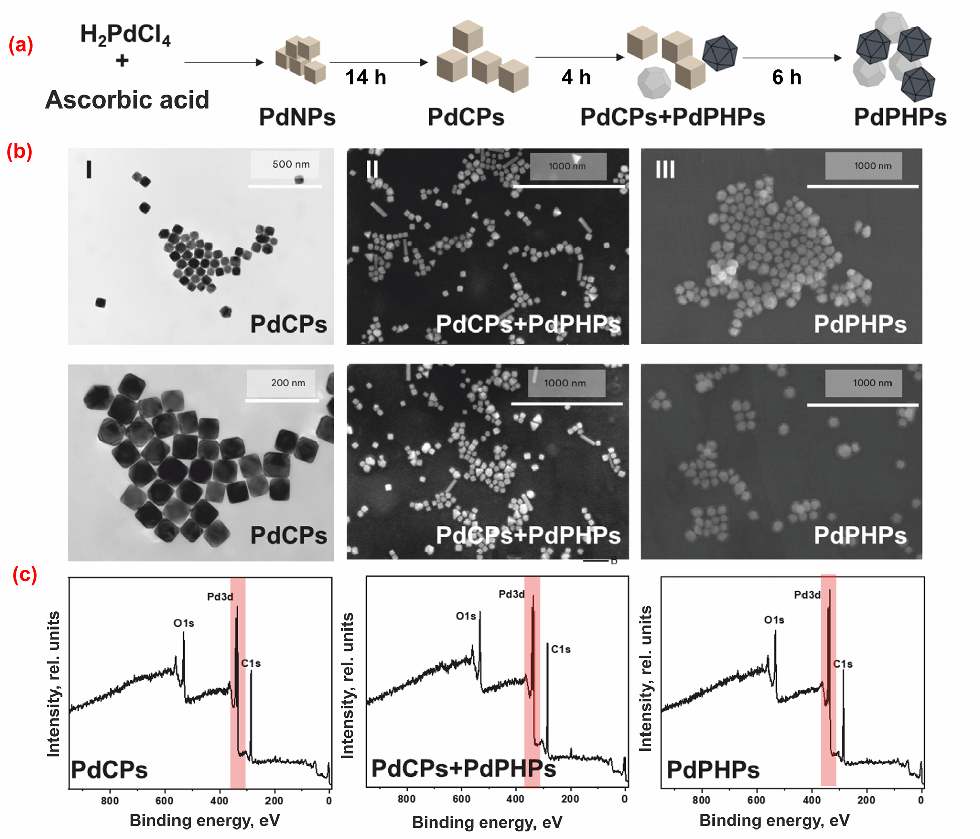 The Role of Geometric Parameters of Palladium Nanoparticles in the Plasmon-Activated Suzuki–Miyaura Reaction