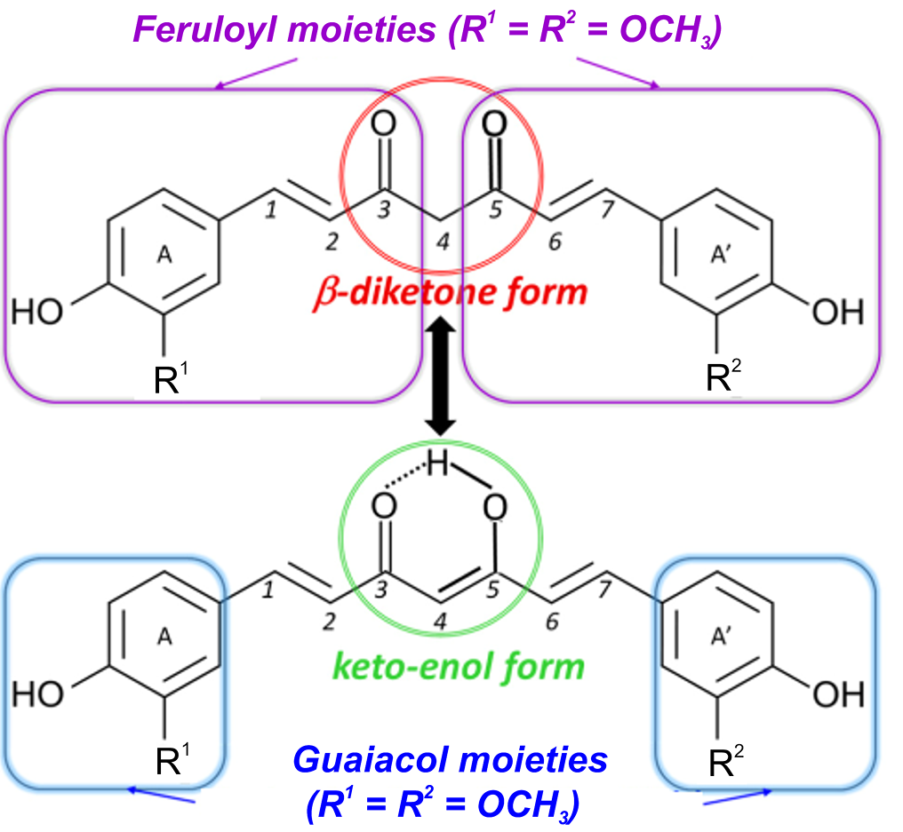 Water-Soluble Systems of Curcumin Based on Amphiphilic (Co)polymers of -Vinylpyrrolidone with (Di)methacrylates for Biomedical Applications. Experimental and Theoretical Study