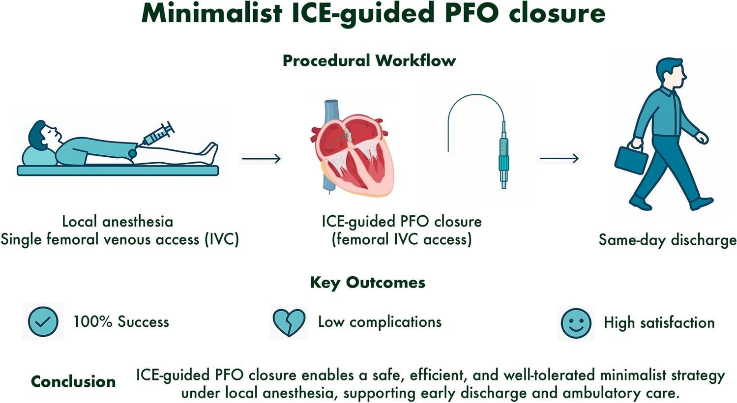 Toward a minimalist strategy for PFO closure: outcomes and patient experience from 205 ICE-guided procedures performed under local anesthesia and early discharge