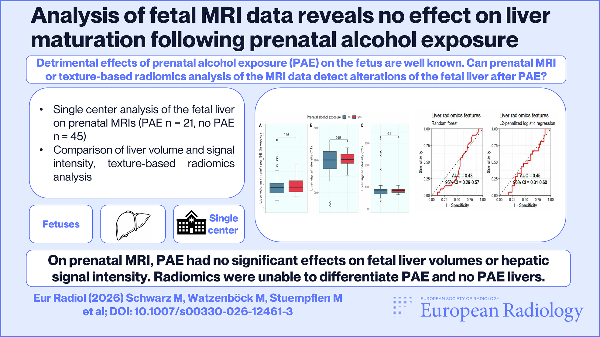 Analysis of fetal MRI data reveals no effect on liver maturation following prenatal alcohol exposure