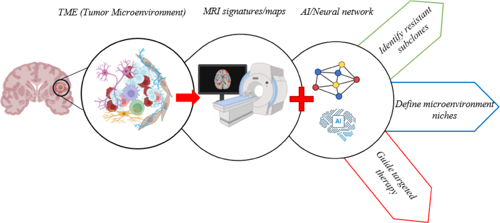 Decoding the Glioblastoma Microenvironment: AI-Driven Analysis of Cellular MRI Signatures for Targeted Therapy