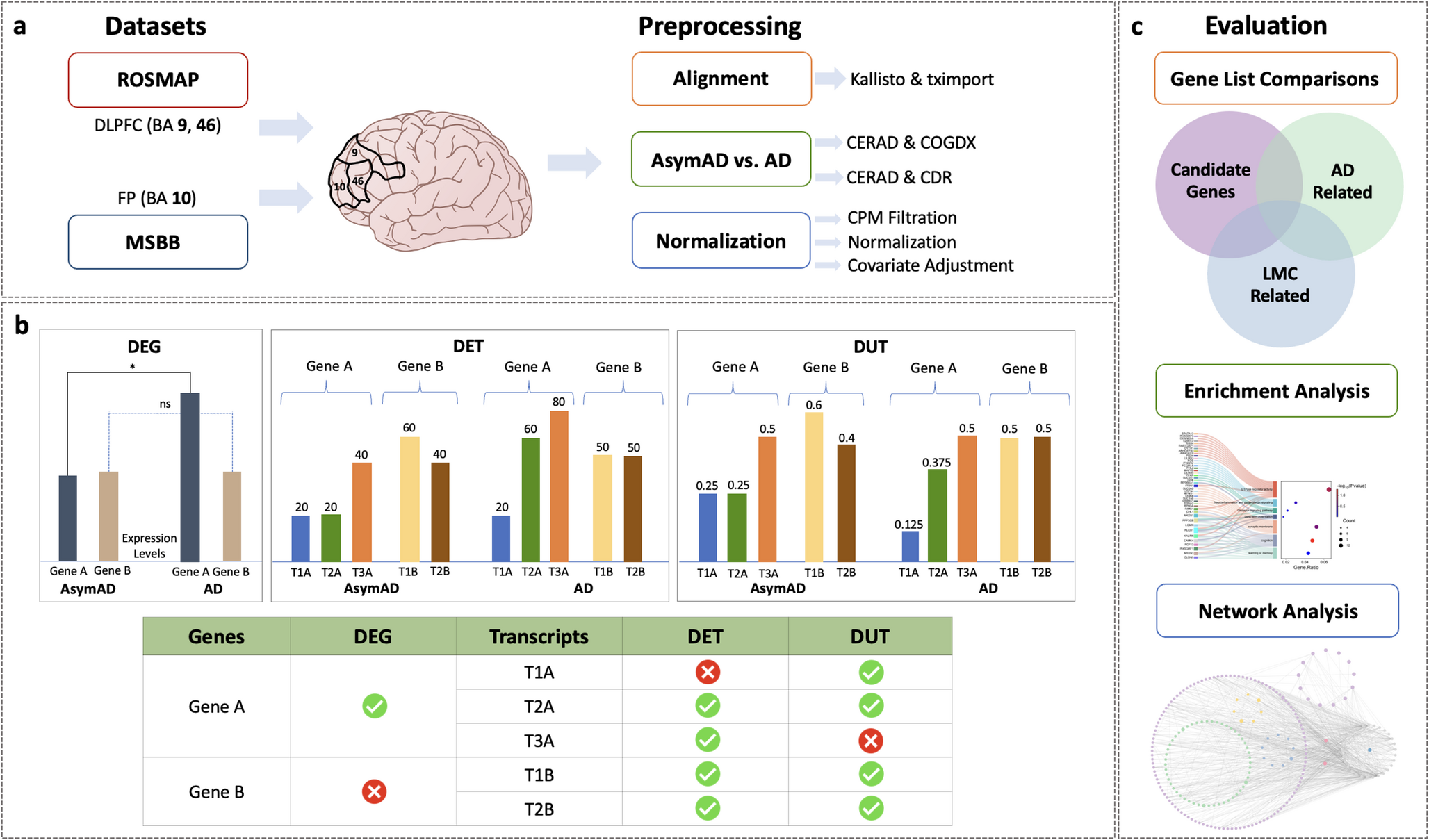 Unravelling Synaptic and Metabolic Mechanisms of Cognitive Resilience in Asymptomatic Alzheimer’s Disease Across Two Alzheimer’s Disease Cohorts