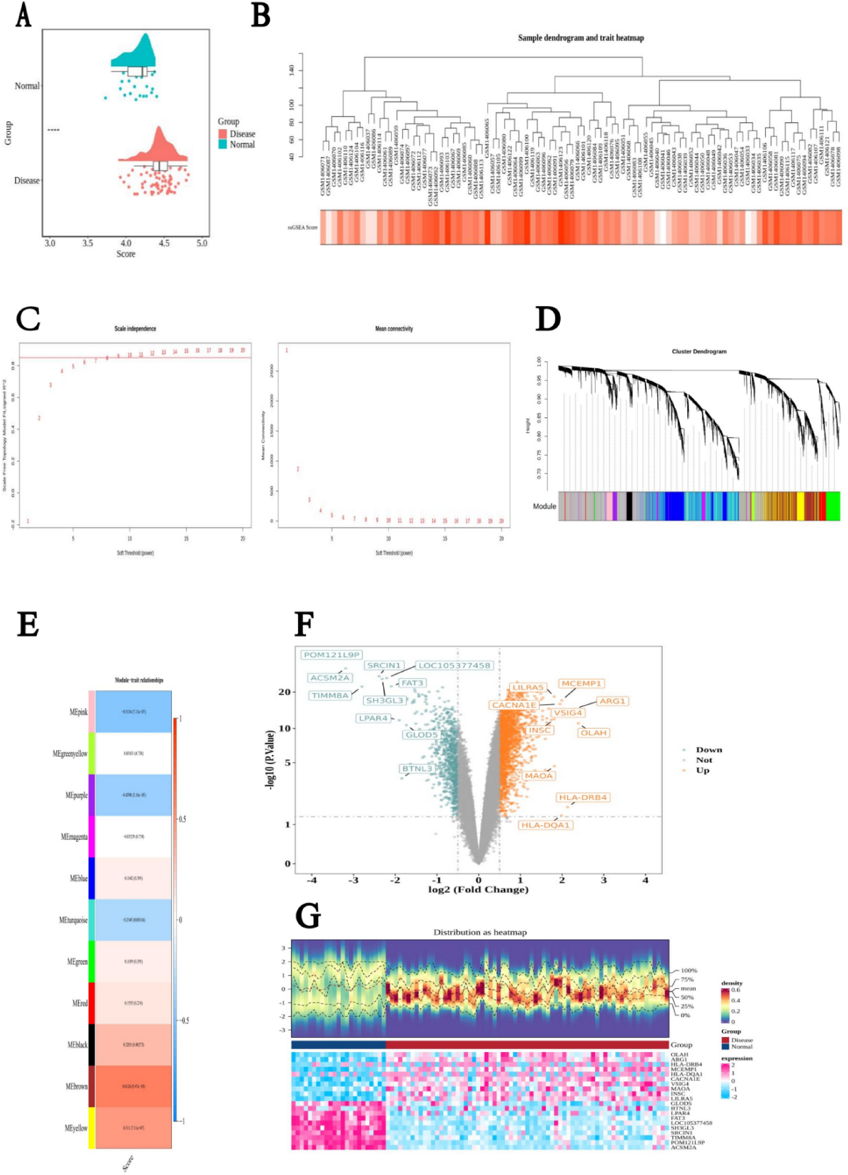Identification of Biomarkers Associated With Copper Metabolism in Ischemic Stroke Through Bulk RNA Sequencing and Mendelian Randomization Analysis