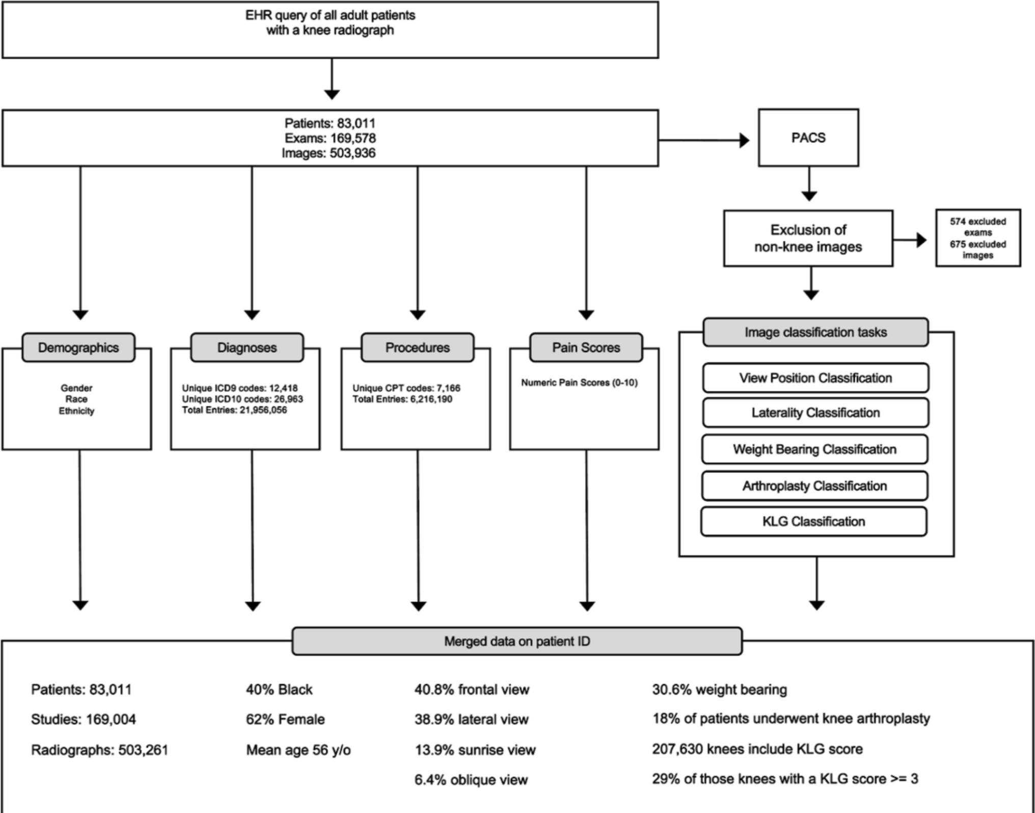 The Emory Knee Radiograph (MRKR) Dataset