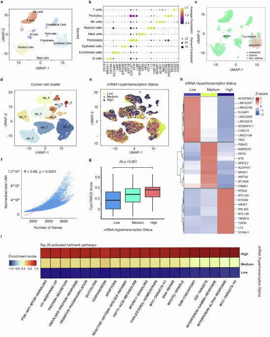 Spi-1 proto-oncogene regulates mRNA hypertranscription and malignant progression in head and neck cancer