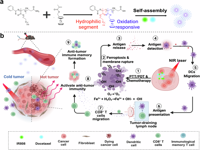 Chemo-photothermal synergy ignites antitumor immunity via ferroptosis