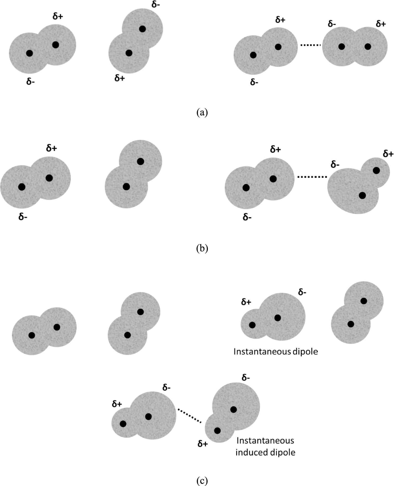 Why the size and shape of molecules matter: the molecular weight, structure, and properties of paraffins