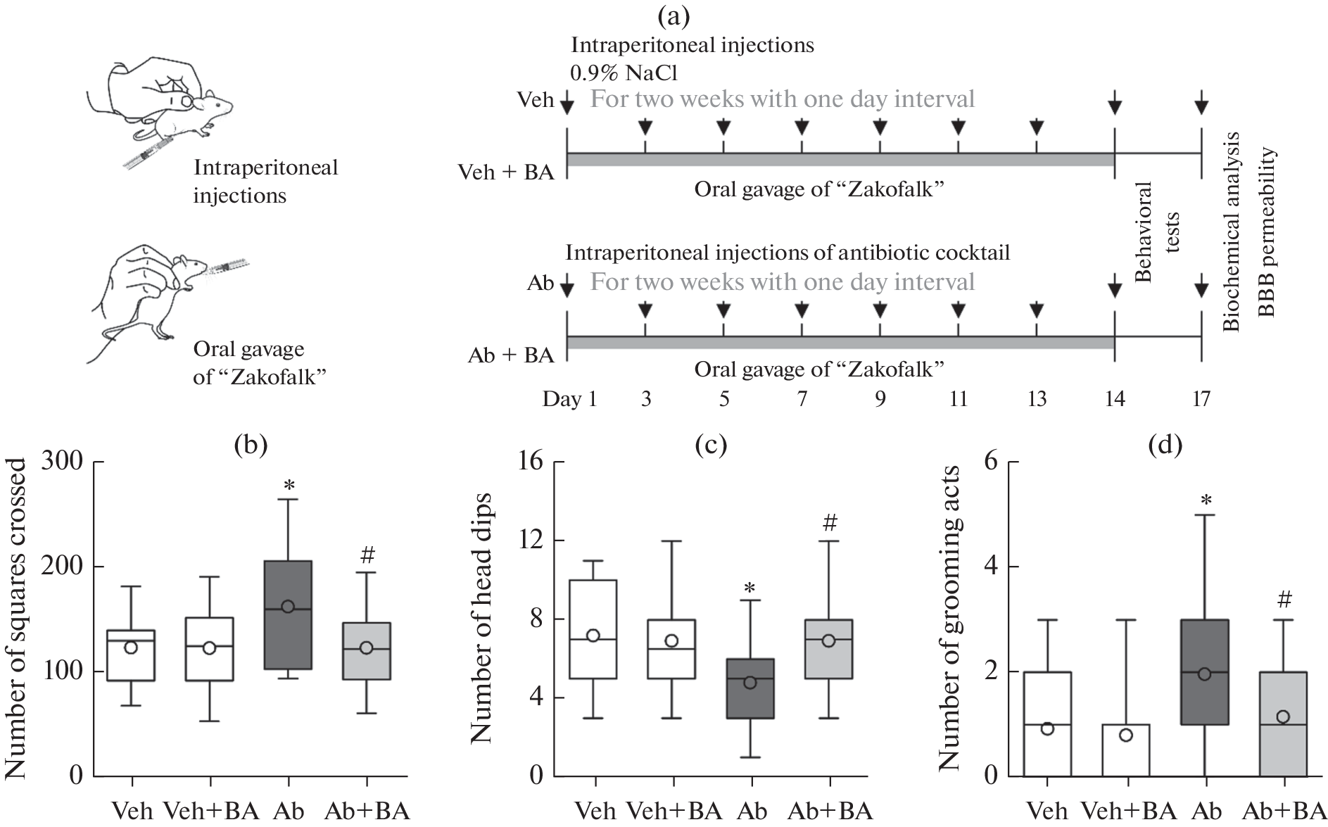 Effect of the Microbiota Metabolite Butyric Acid on Behavior, Neuroinflammation, and Oxidative Stress Level in a Mouse Model of Dysbiosis