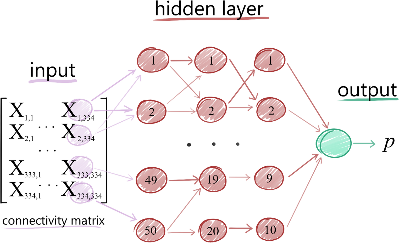 Inferences on the Watts-Strogatz Model: A Study on Brain Functional Connectivity