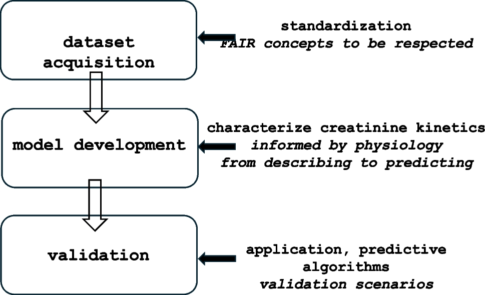 Decoding creatinine patterns in neonates