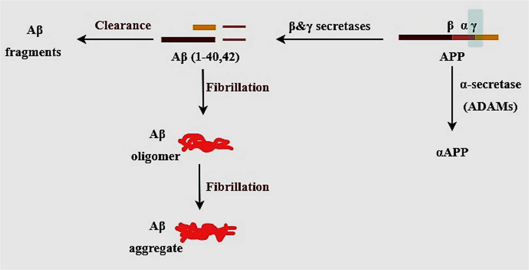 Targeting of neuroinflammation, oxidative stress, and synaptic dysfunction by vinpocetine in alzheimer’s disease: a comprehensive appraisal